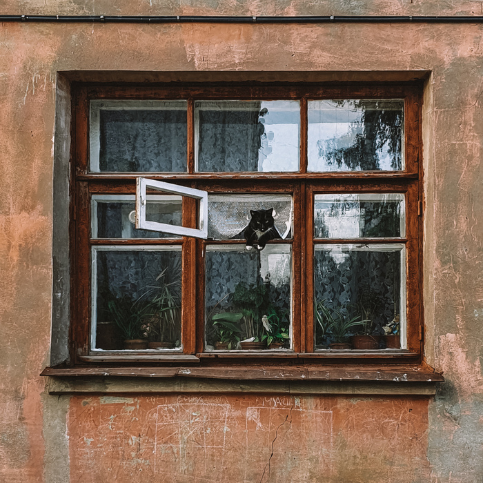 ��� � ������