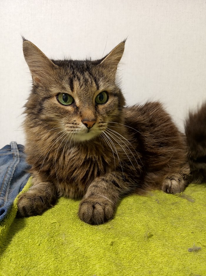 � ����� ���� ������