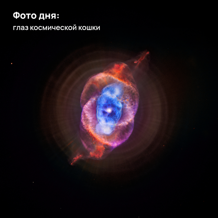 Фото дня: глаз космической кошки