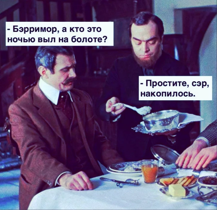 1647027701242365694.webp