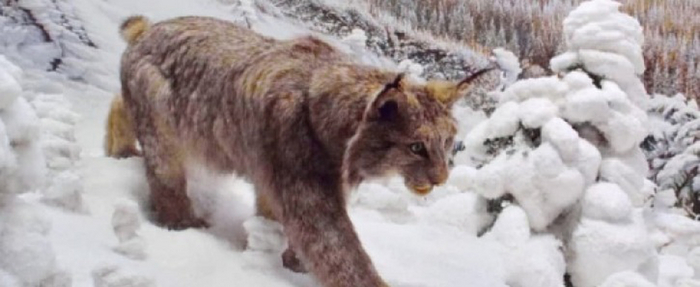 ����� � ����������� ����