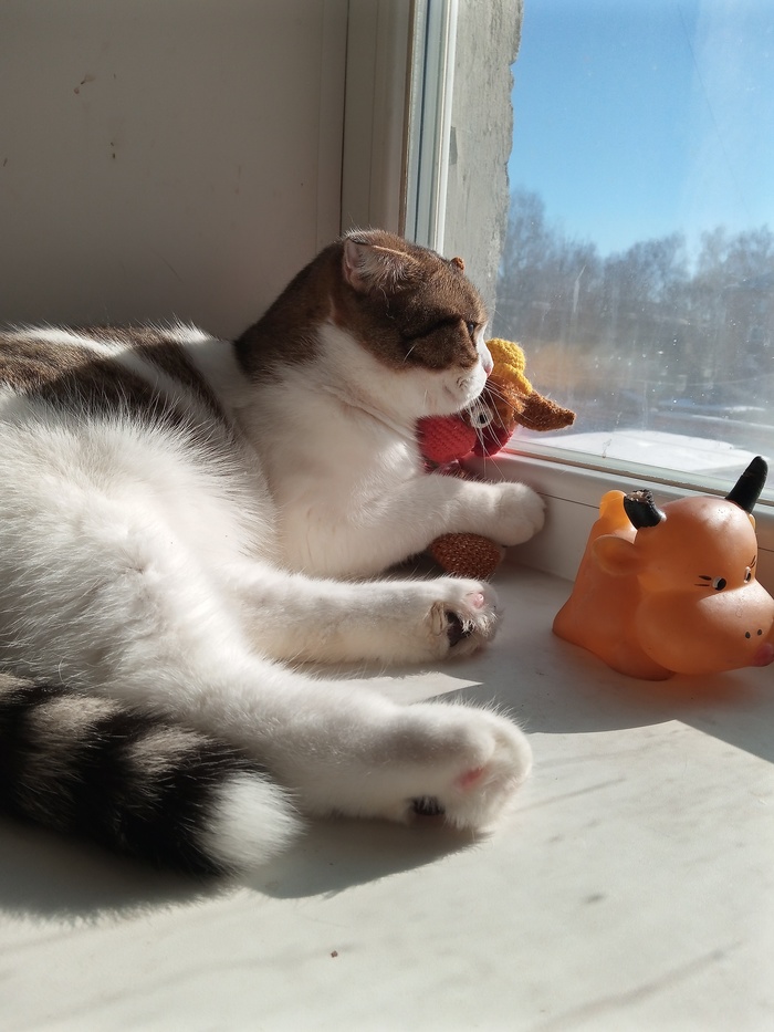 ������ � ������� ��������