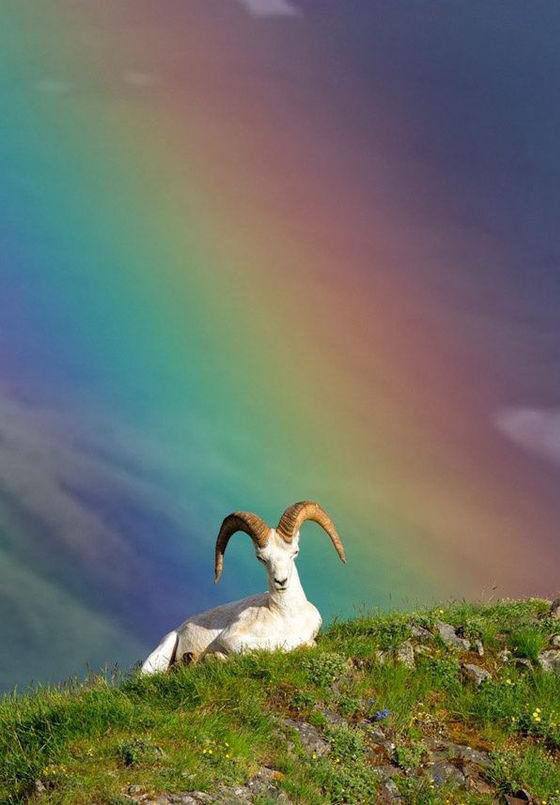  , HelloIRainbow, 