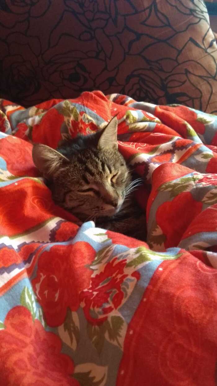 ����������� ����� ��� ����������� ����...