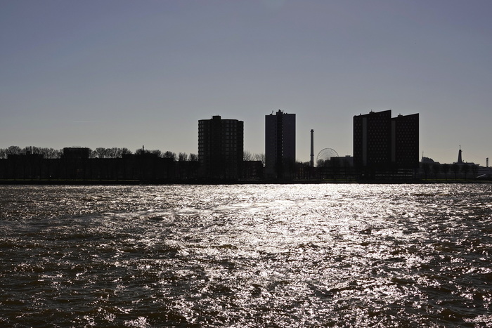 Силуэты Роттердама