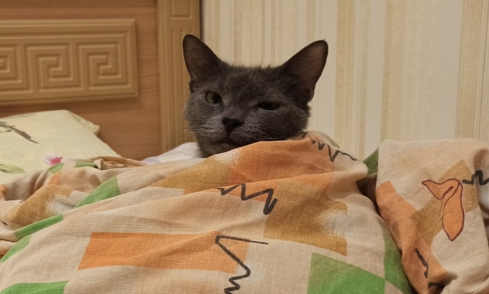 ����� ������� �������� �������