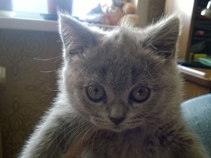 ����� �� ���� ������ �� ���� ��������...�