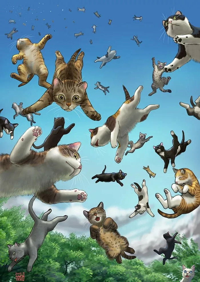 ����� ���������!