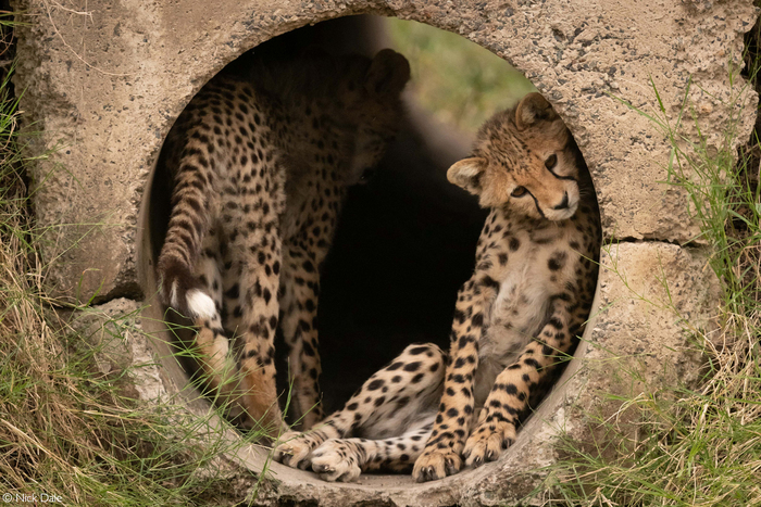 Что там, в конце туннеля?