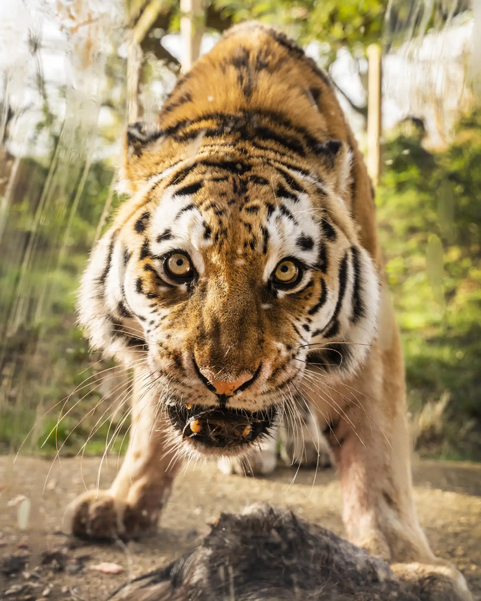 Доброе утро