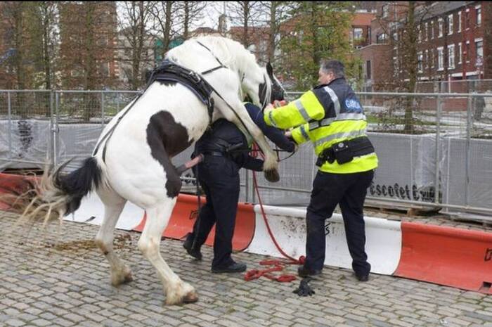 Смешались в кучу кони, люди....(Бородино, М.Ю.Лермонтов)