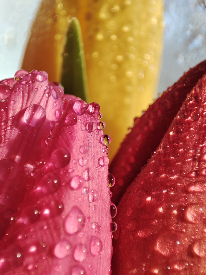 Весна пришла