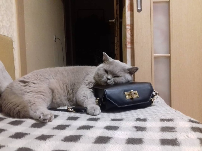 � ��������� �����)