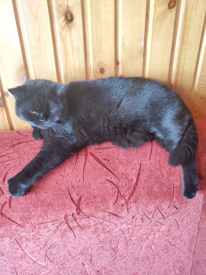 ������ ���