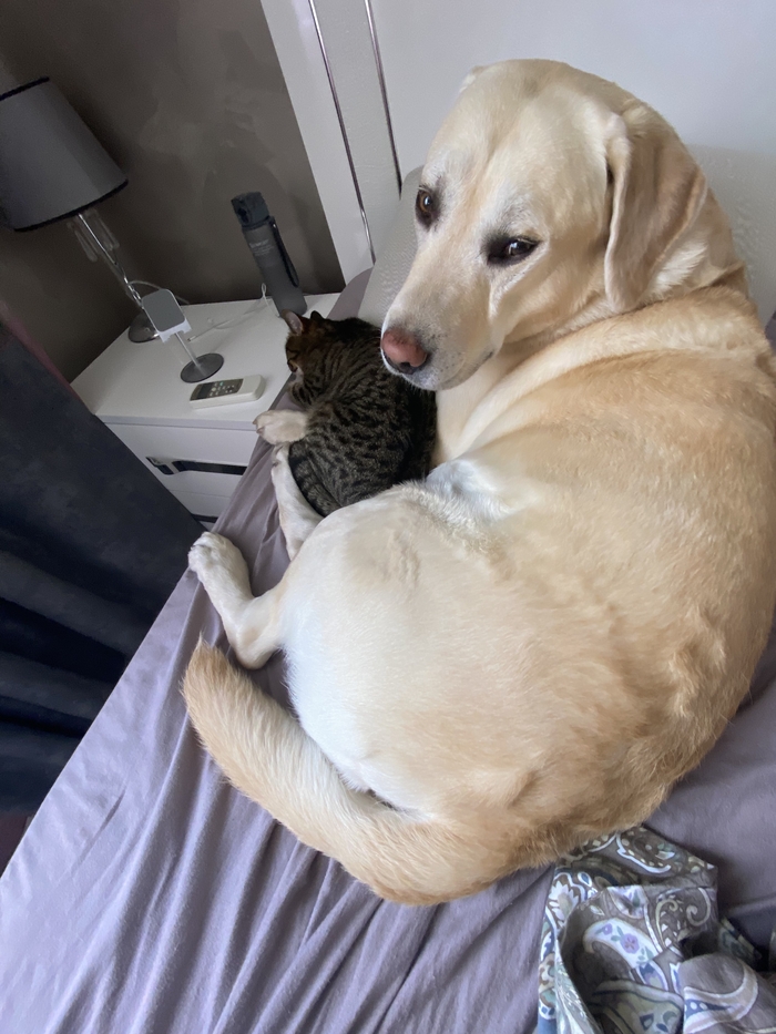 ��������� ������