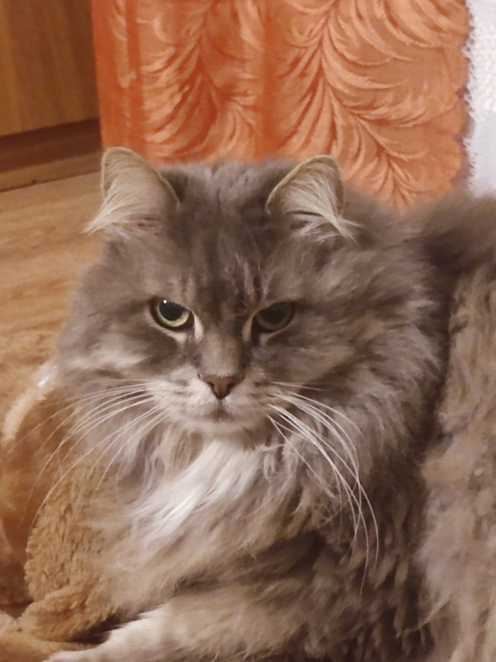 �� ����� ������ � ����������� ��������, ����� �������, ������������ ��� �� �������� ���� ����)