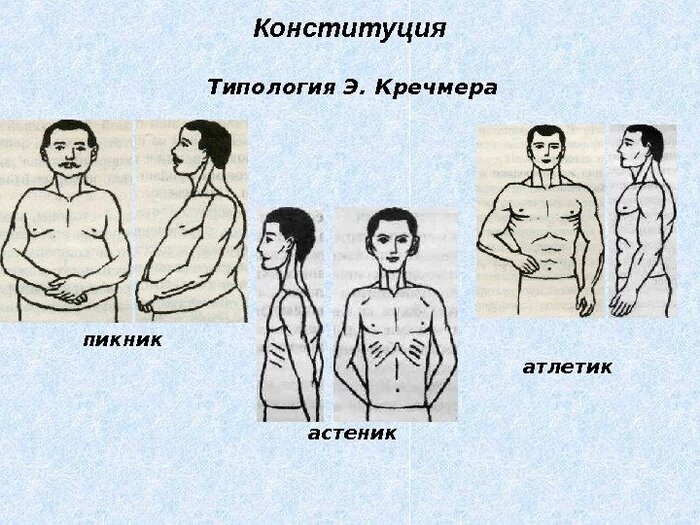 Особенности структуры личности по классификации телосложений Э.Кречмера