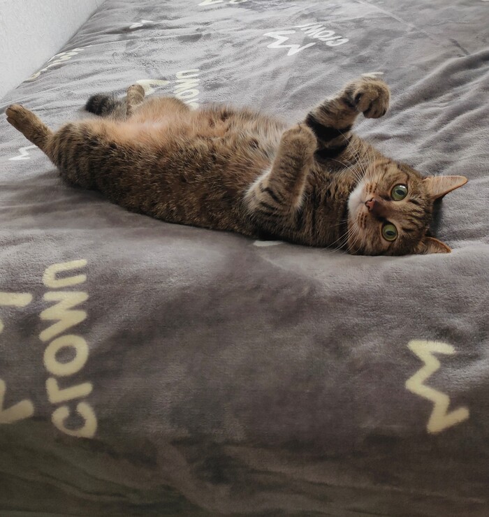 Пойдём валяться, обниматься