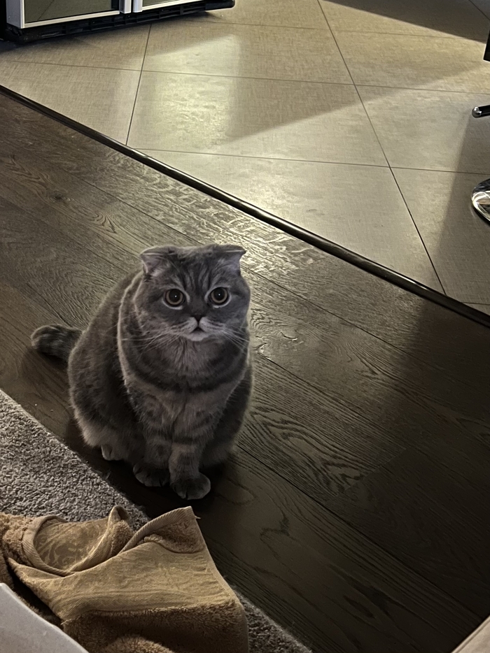 � ������ �� ���������� �������� � ������ � ������� �������� ��� ����