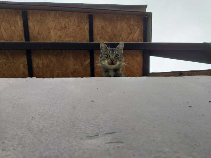 ?