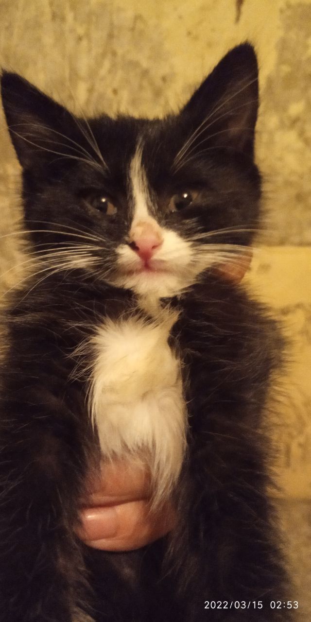 ������ ����!