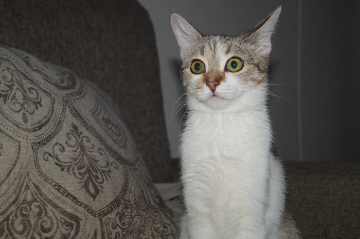 ���..����..����� ����!����� ���� ���