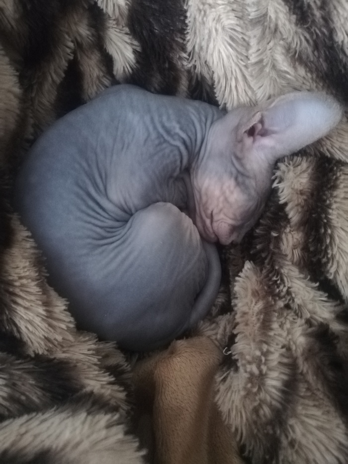 Пол кило счастья