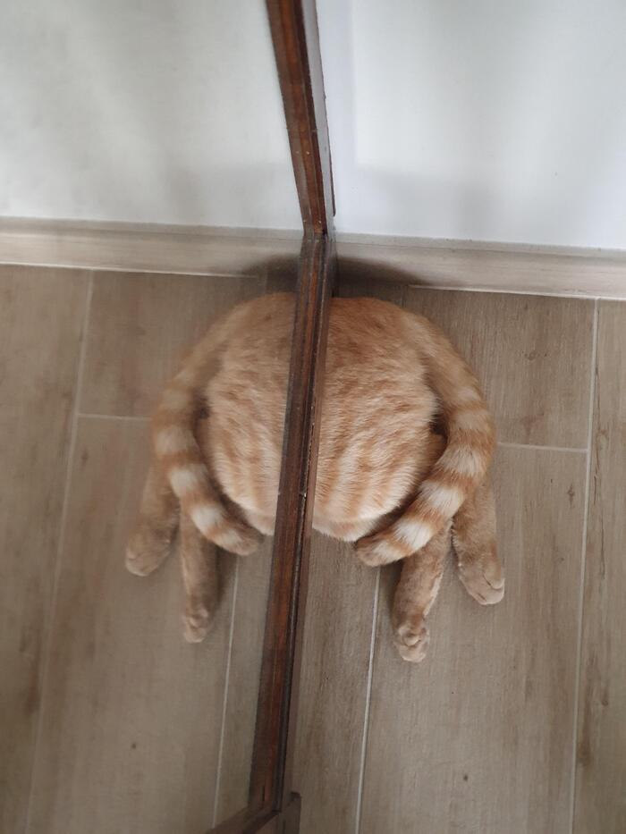     ?