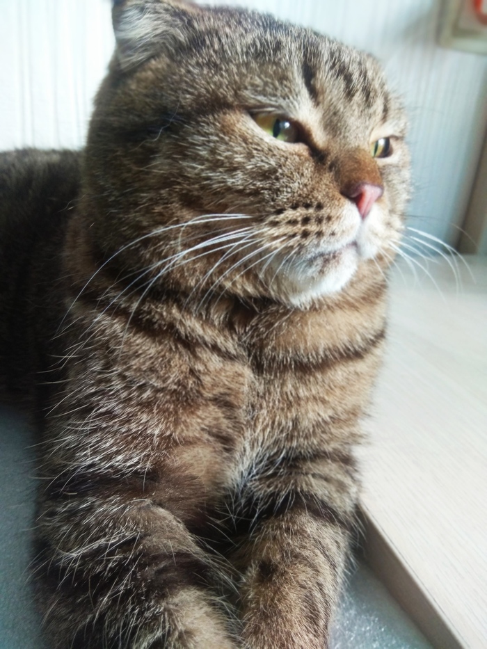 ����������� 2 ����