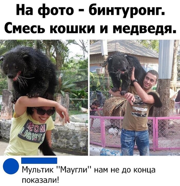 Маугли