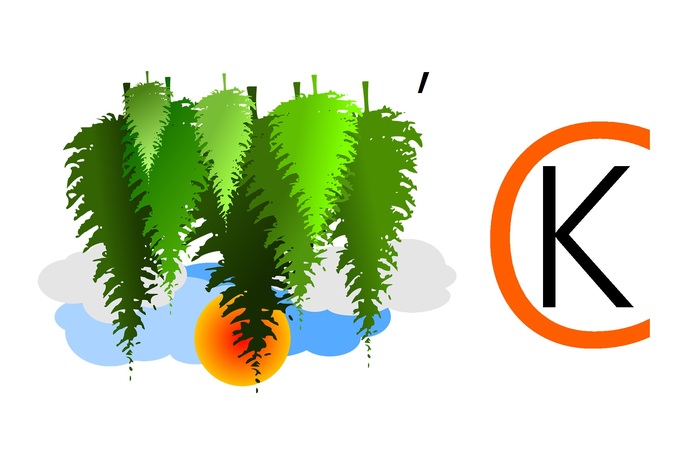      . :  .   135.    . !