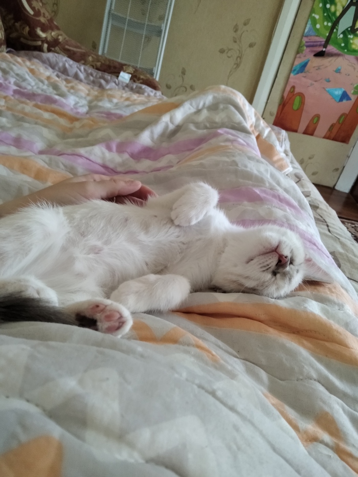 Сила пикабу!