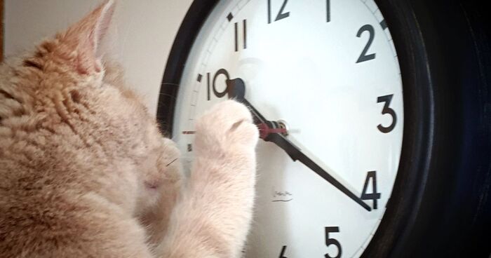 В США было зимнее и летнее время?