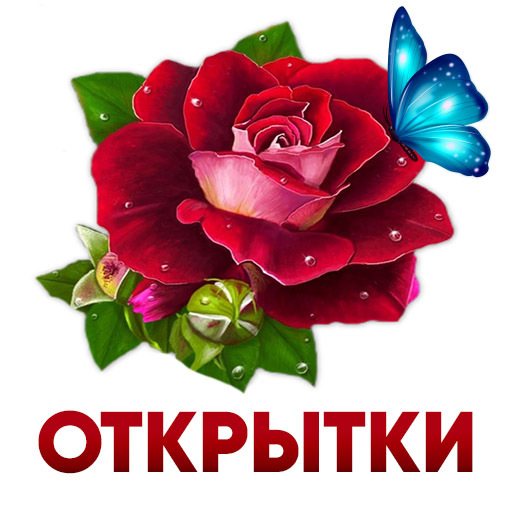 В связи с высокой регистрацией в telegram по всей стране пользователей whatsapp 'a ожидаем с нетерпением от родственников