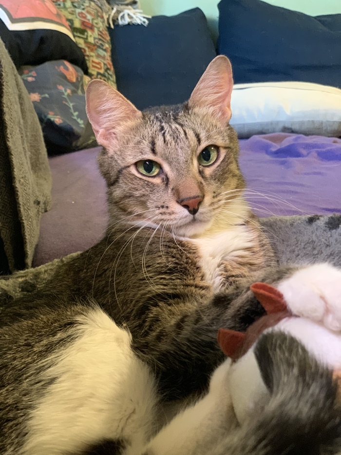 ������� ������� 14 ���