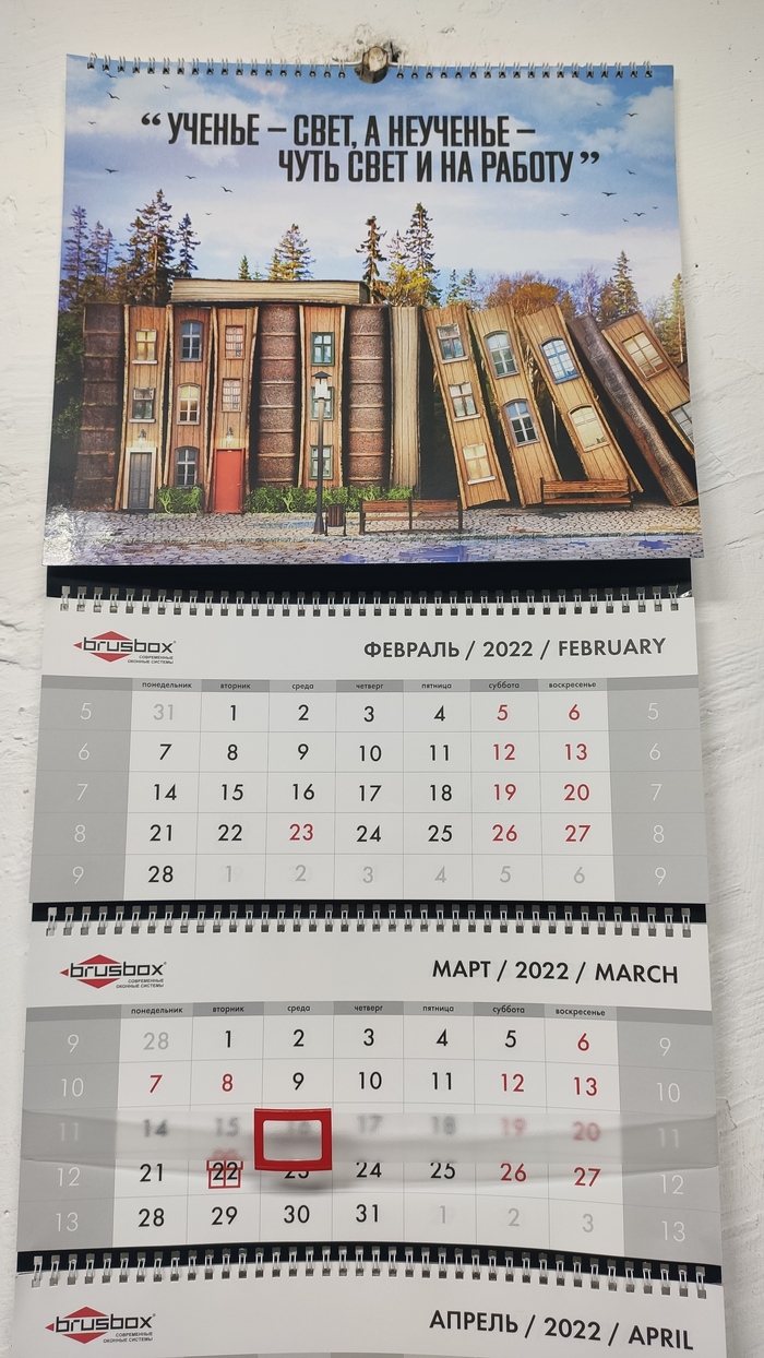 ������ ����