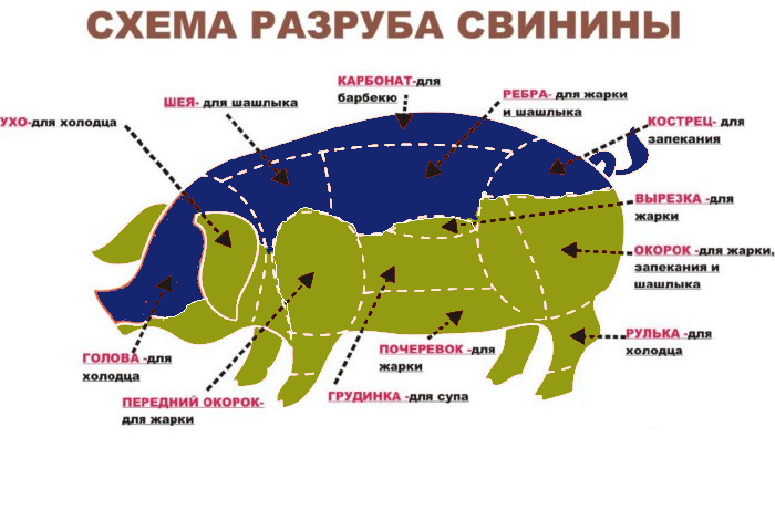 Схема разруба свинины