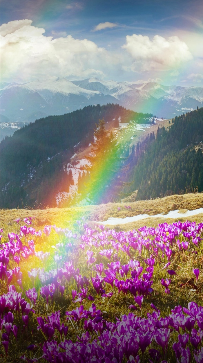 Rainbow Радуга, HelloIRainbow, Скриншот