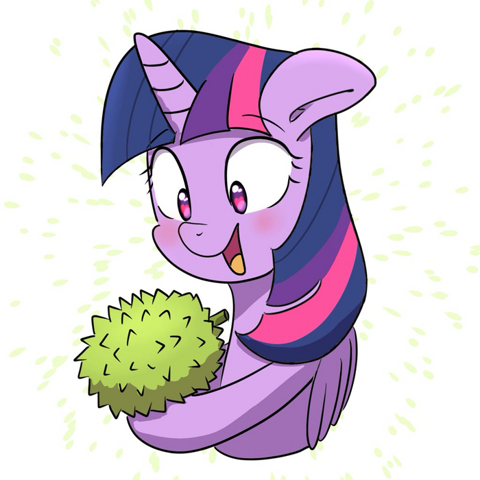  My Little Pony, Twilight Sparkle, Yinglongfujun