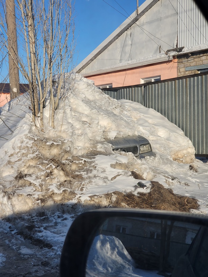 Первые подснежники