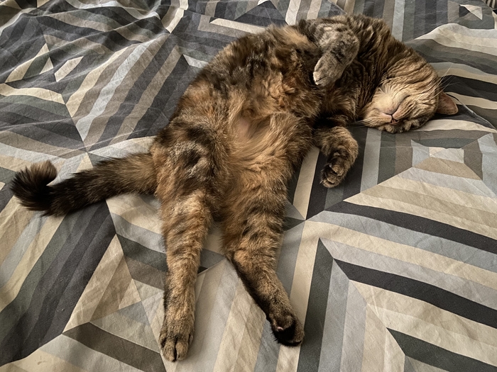 ����� ������