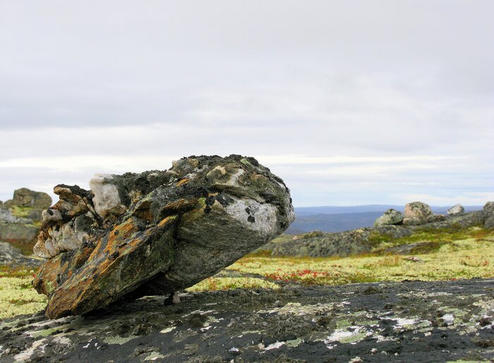 Динозаврик...