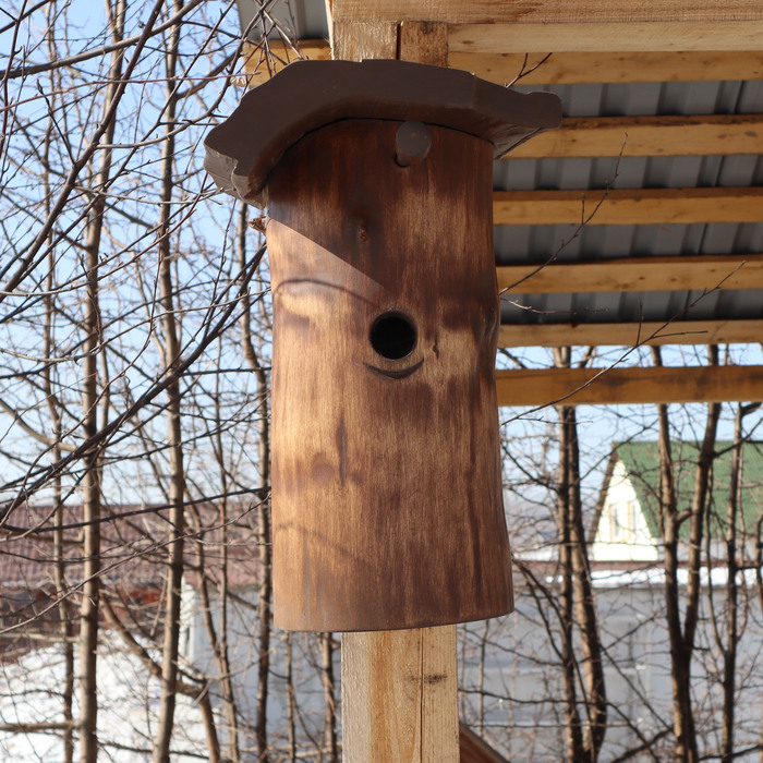 . . Birdhouse.  , , , , ,  ,  , The National Geographic, ,  , 