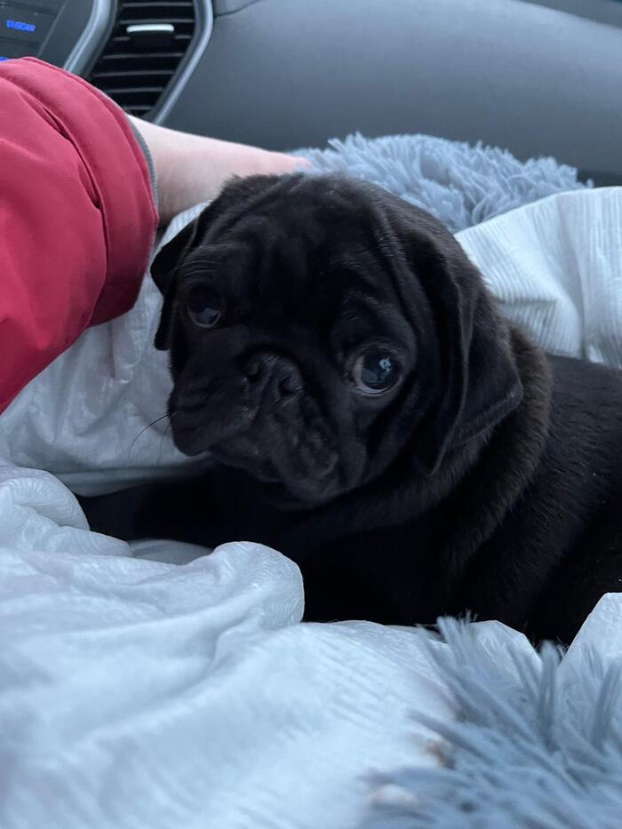 ����� ���� �����