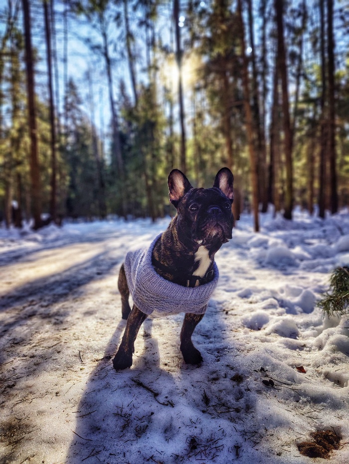 ������� ������������ ������ (Oneplus 9 pro [Snapseed])