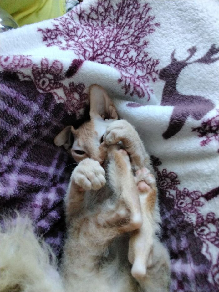 Пора на работу))