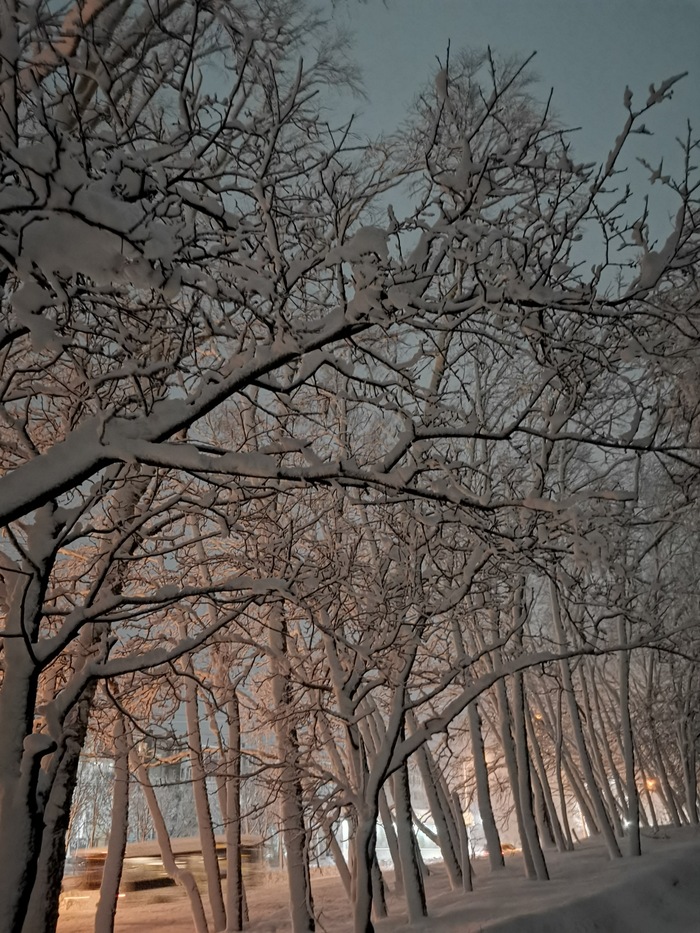 камчатский март, или снег-не сахар, растает) камчатка, петропавловск-камчатский, весна, снег, мобильная фотография, березы, аллея, длиннопост