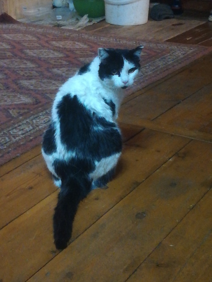 ������, ������ � �����