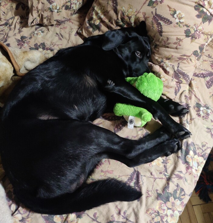 Ну да, на твоем месте...и что?