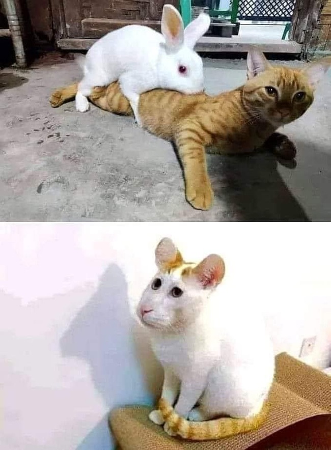 �������� �������